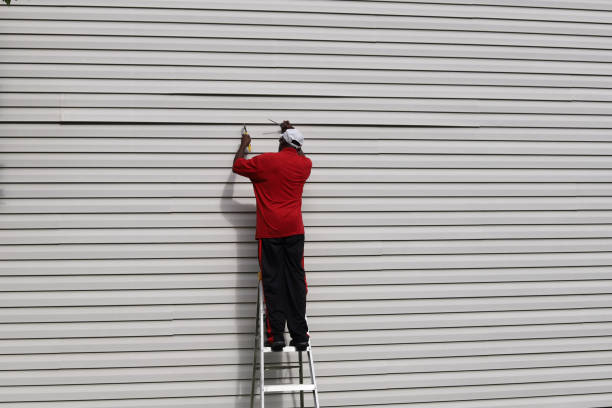 Best Aluminum Siding Installation  in Shaw Heights, CO